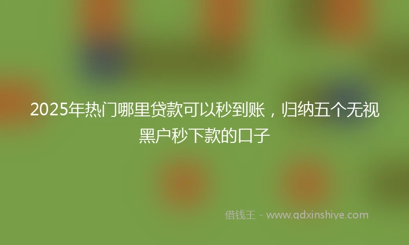 2025年热门哪里贷款可以秒到账，归纳五个无视黑户秒下款的口子