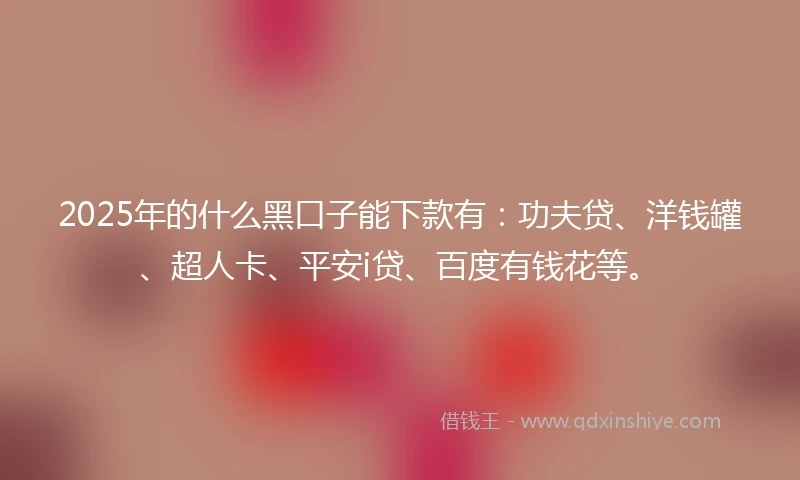 2025年的什么黑口子能下款有：功夫贷、洋钱罐、超人卡、平安i贷、百度有钱花等。