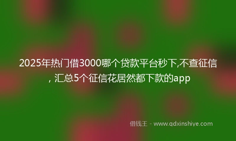 2025年热门借3000哪个贷款平台秒下,不查征信，汇总5个征信花居然都下款的app