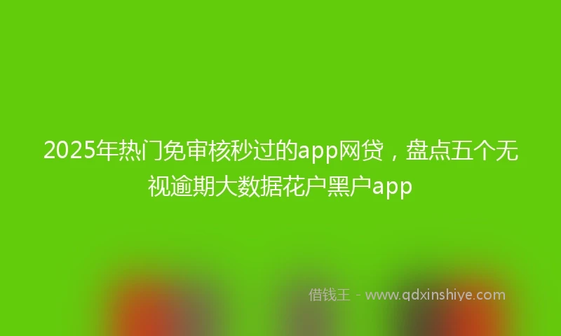 2025年热门免审核秒过的app网贷，盘点五个无视逾期大数据花户黑户app
