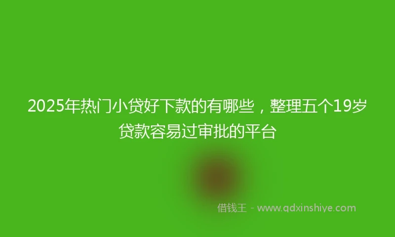 2025年热门小贷好下款的有哪些，整理五个19岁贷款容易过审批的平台