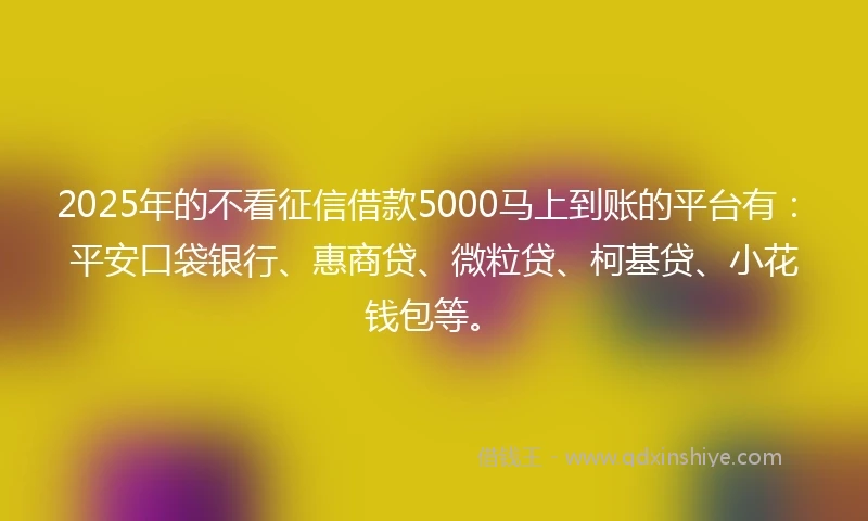 2025年的不看征信借款5000马上到账的平台有：平安口袋银行、惠商贷、微粒贷、柯基贷、小花钱包等。