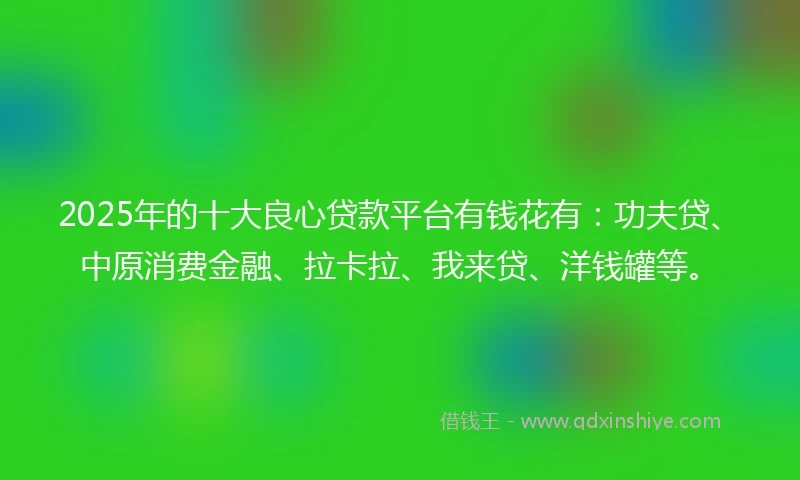 2025年的十大良心贷款平台有钱花有：功夫贷、中原消费金融、拉卡拉、我来贷、洋钱罐等。