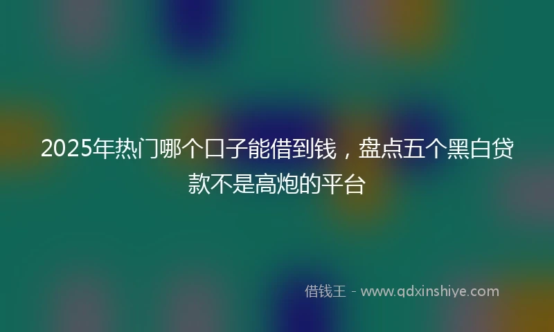 2025年热门哪个口子能借到钱，盘点五个黑白贷款不是高炮的平台