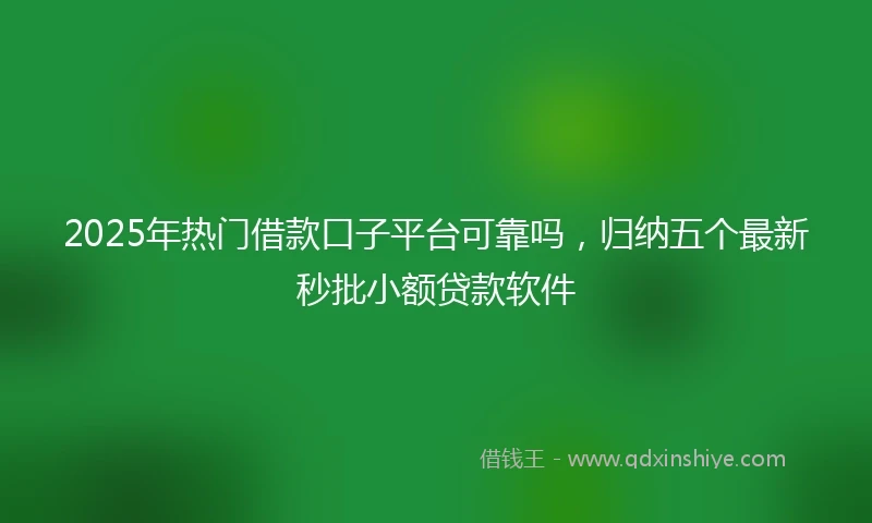 2025年热门借款口子平台可靠吗，归纳五个最新秒批小额贷款软件