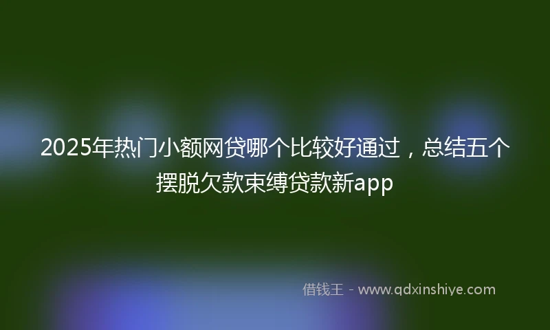 2025年热门小额网贷哪个比较好通过，总结五个摆脱欠款束缚贷款新app
