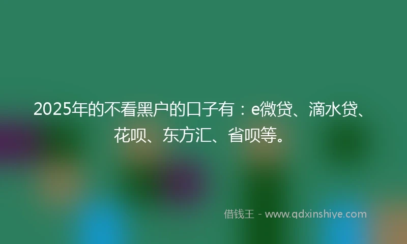 2025年的不看黑户的口子有：e微贷、滴水贷、花呗、东方汇、省呗等。