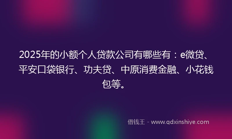 2025年的小额个人贷款公司有哪些有：e微贷、平安口袋银行、功夫贷、中原消费金融、小花钱包等。