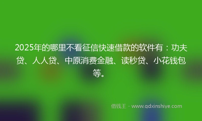 2025年的哪里不看征信快速借款的软件有：功夫贷、人人贷、中原消费金融、读秒贷、小花钱包等。