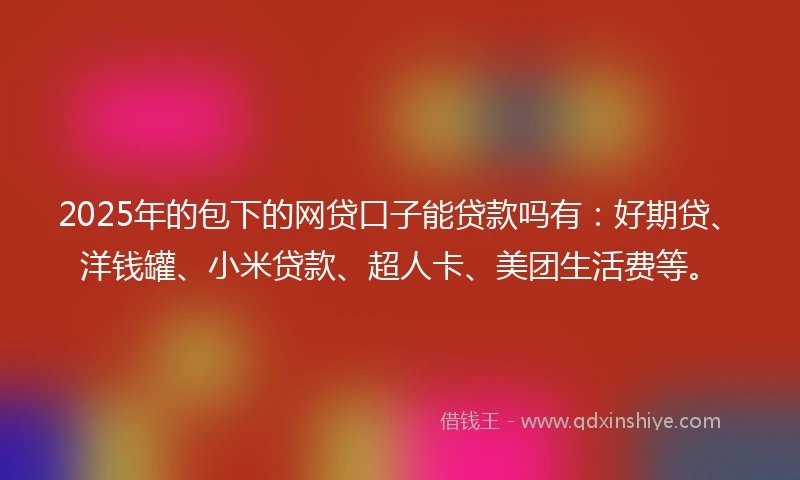 2025年的包下的网贷口子能贷款吗有：好期贷、洋钱罐、小米贷款、超人卡、美团生活费等。