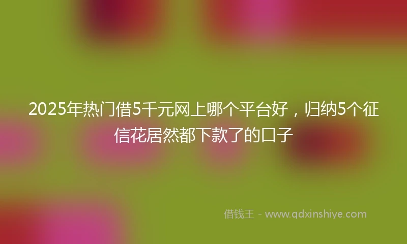 2025年热门借5千元网上哪个平台好，归纳5个征信花居然都下款了的口子