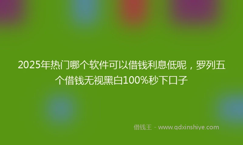 2025年热门哪个软件可以借钱利息低呢，罗列五个借钱无视黑白100%秒下口子