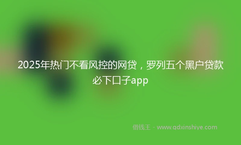 2025年热门不看风控的网贷，罗列五个黑户贷款必下口子app
