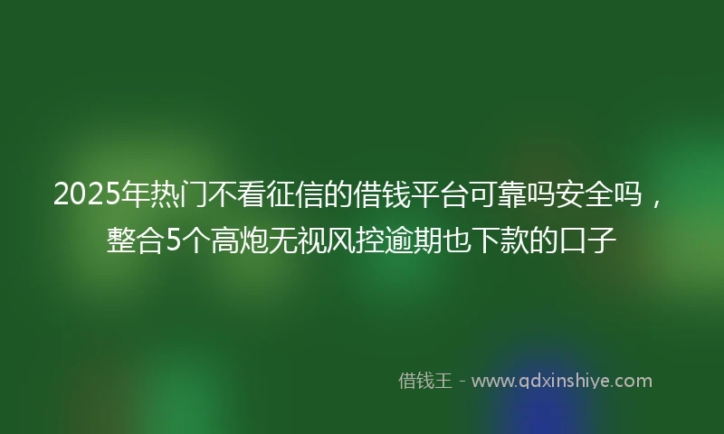 2025年热门不看征信的借钱平台可靠吗安全吗，整合5个高炮无视风控逾期也下款的口子