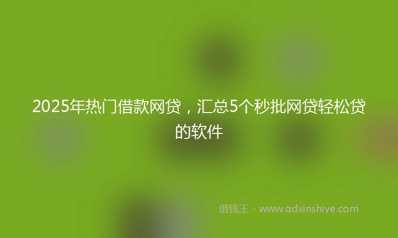 2025年热门借款网贷，汇总5个秒批网贷轻松贷的软件
