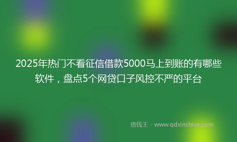 2025年热门不看征信借款5000马上到账的有哪些软件，盘点5个网贷口子风控不严的平台