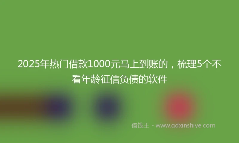 2025年热门借款1000元马上到账的，梳理5个不看年龄征信负债的软件