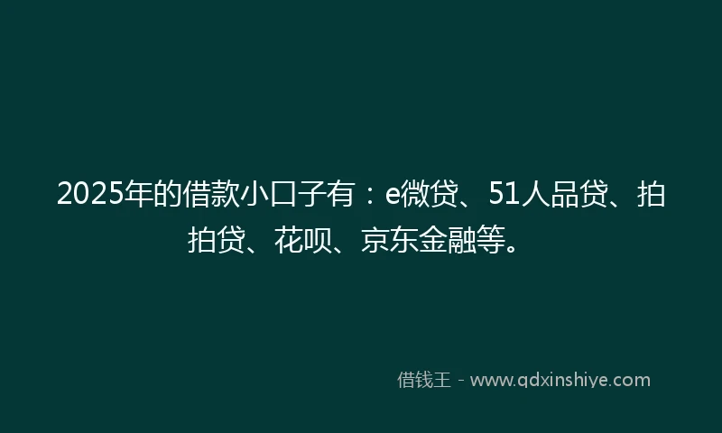 2025年的借款小口子有：e微贷、51人品贷、拍拍贷、花呗、京东金融等。