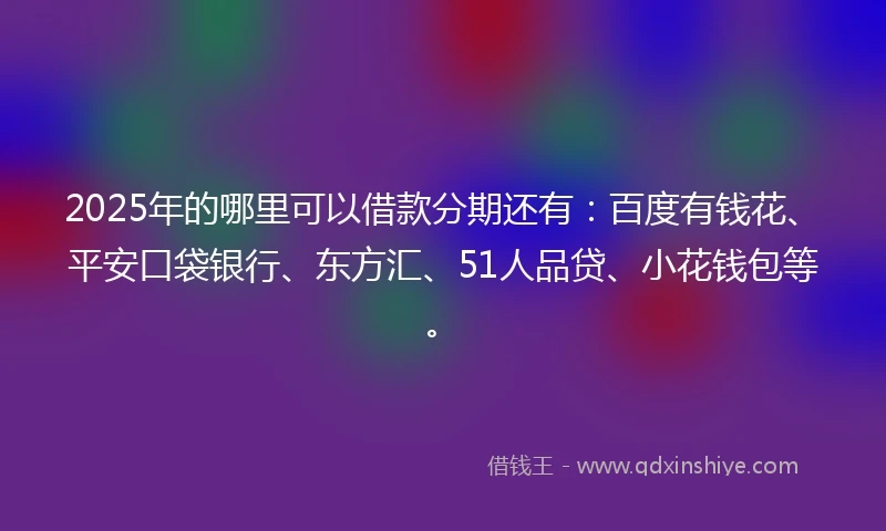 2025年的哪里可以借款分期还有：百度有钱花、平安口袋银行、东方汇、51人品贷、小花钱包等。