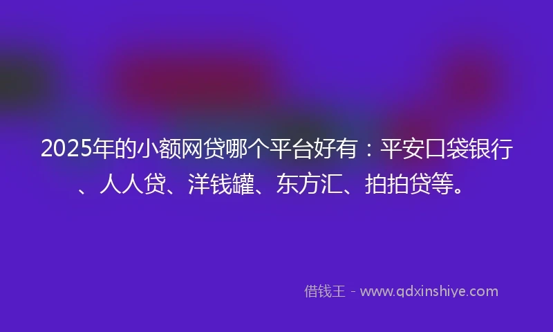 2025年的小额网贷哪个平台好有：平安口袋银行、人人贷、洋钱罐、东方汇、拍拍贷等。