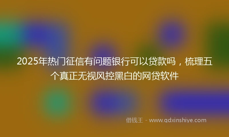 2025年热门征信有问题银行可以贷款吗，梳理五个真正无视风控黑白的网贷软件