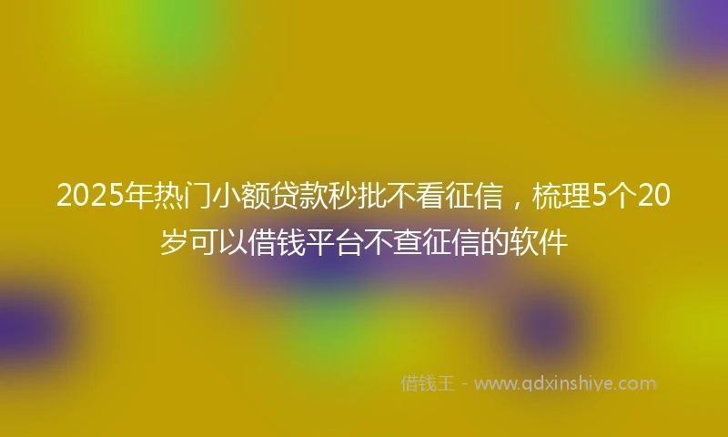 2025年热门小额贷款秒批不看征信，梳理5个20岁可以借钱平台不查征信的软件