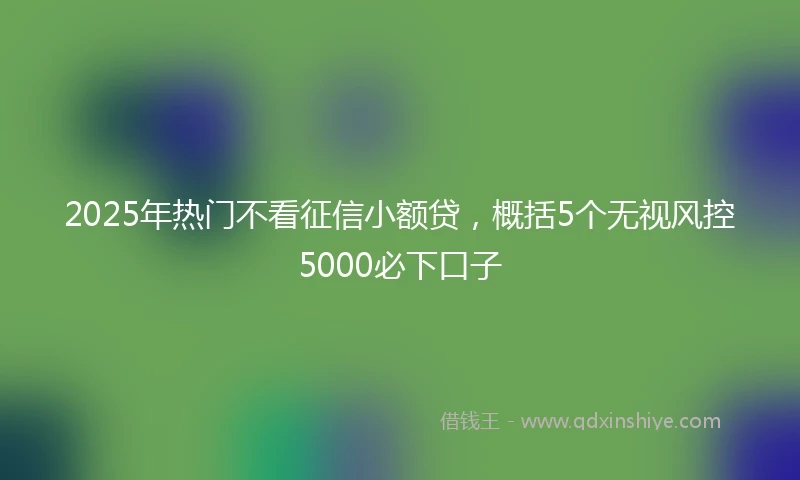 2025年热门不看征信小额贷，概括5个无视风控5000必下口子