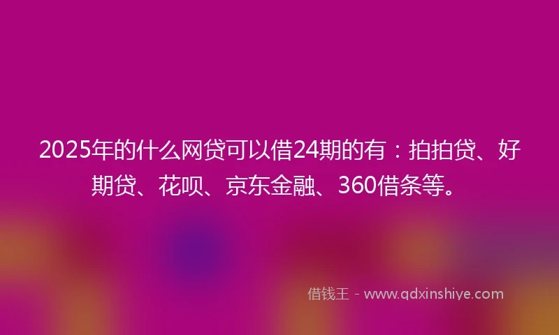 2025年的什么网贷可以借24期的有：拍拍贷、好期贷、花呗、京东金融、360借条等。