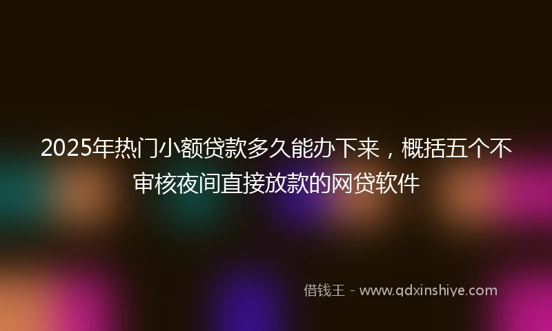 2025年热门小额贷款多久能办下来，概括五个不审核夜间直接放款的网贷软件