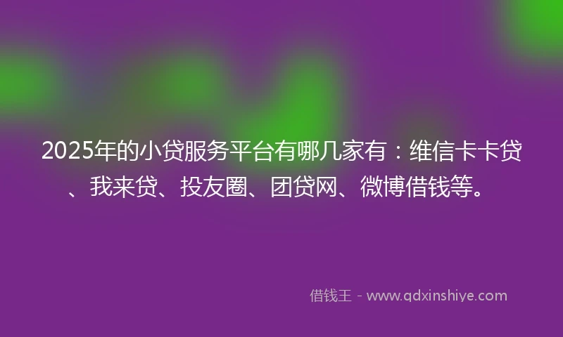 2025年的小贷服务平台有哪几家有：维信卡卡贷、我来贷、投友圈、团贷网、微博借钱等。