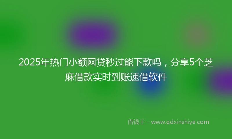 2025年热门小额网贷秒过能下款吗，分享5个芝麻借款实时到账速借软件