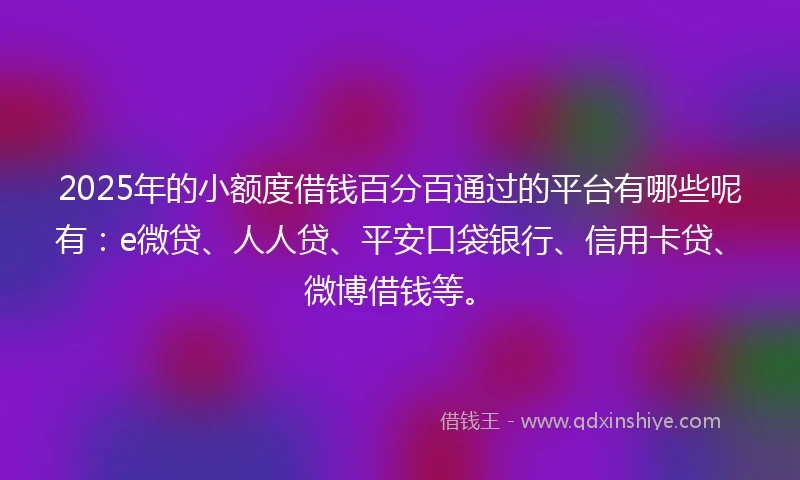 2025年的小额度借钱百分百通过的平台有哪些呢有：e微贷、人人贷、平安口袋银行、信用卡贷、微博借钱等。