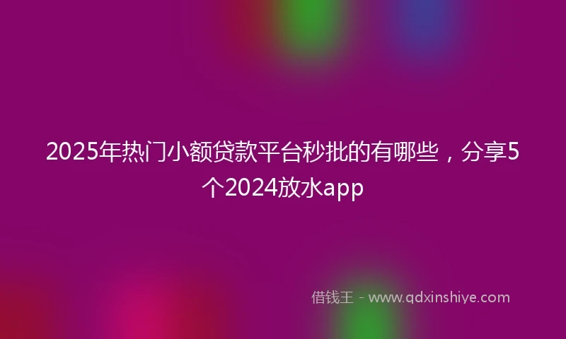 2025年热门小额贷款平台秒批的有哪些，分享5个2024放水app