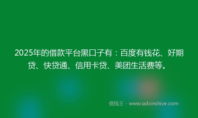 2025年的借款平台黑口子有：百度有钱花、好期贷、快贷通、信用卡贷、美团生活费等。