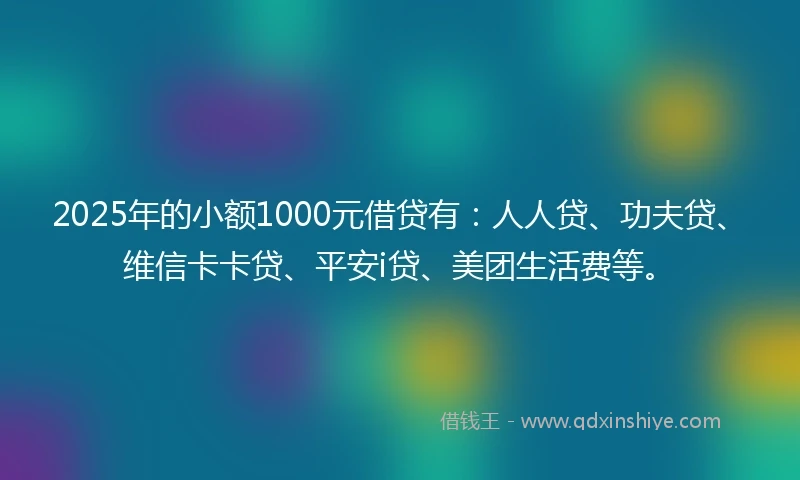 2025年的小额1000元借贷有：人人贷、功夫贷、维信卡卡贷、平安i贷、美团生活费等。