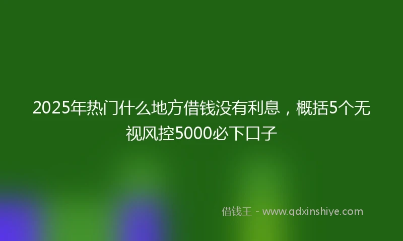 2025年热门什么地方借钱没有利息，概括5个无视风控5000必下口子