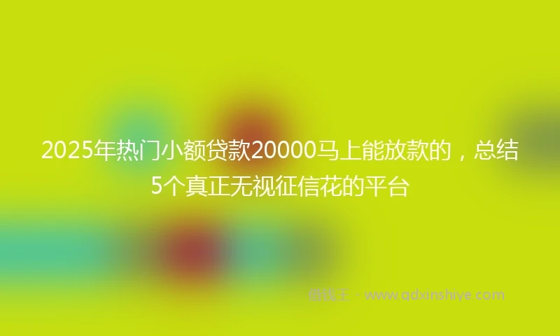 2025年热门小额贷款20000马上能放款的，总结5个真正无视征信花的平台