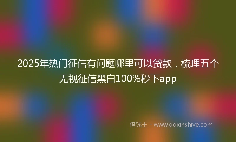 2025年热门征信有问题哪里可以贷款，梳理五个无视征信黑白100%秒下app