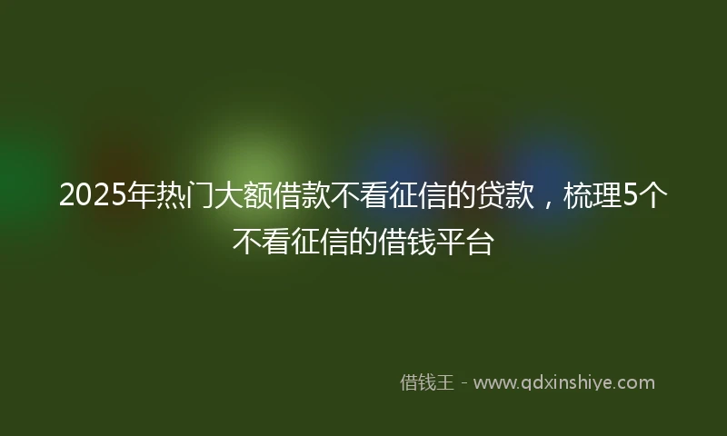 2025年热门大额借款不看征信的贷款，梳理5个不看征信的借钱平台