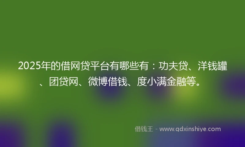 2025年的借网贷平台有哪些有：功夫贷、洋钱罐、团贷网、微博借钱、度小满金融等。