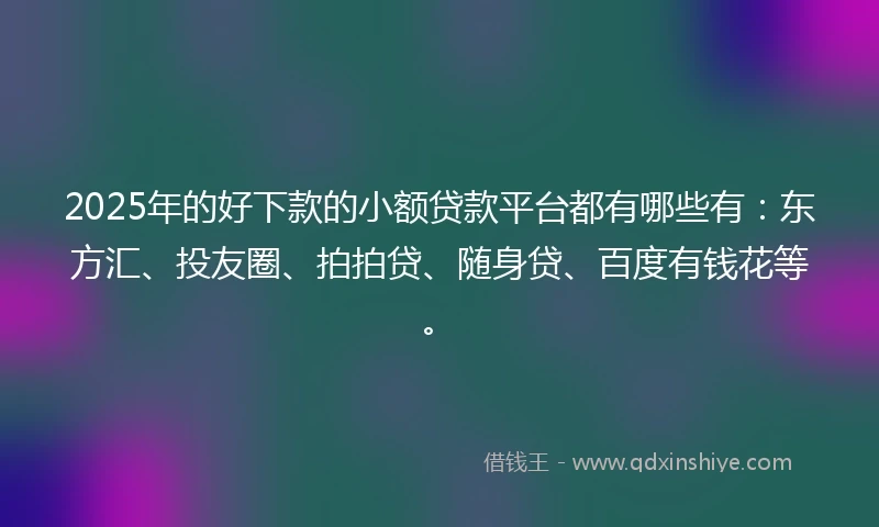 2025年的好下款的小额贷款平台都有哪些有：东方汇、投友圈、拍拍贷、随身贷、百度有钱花等。