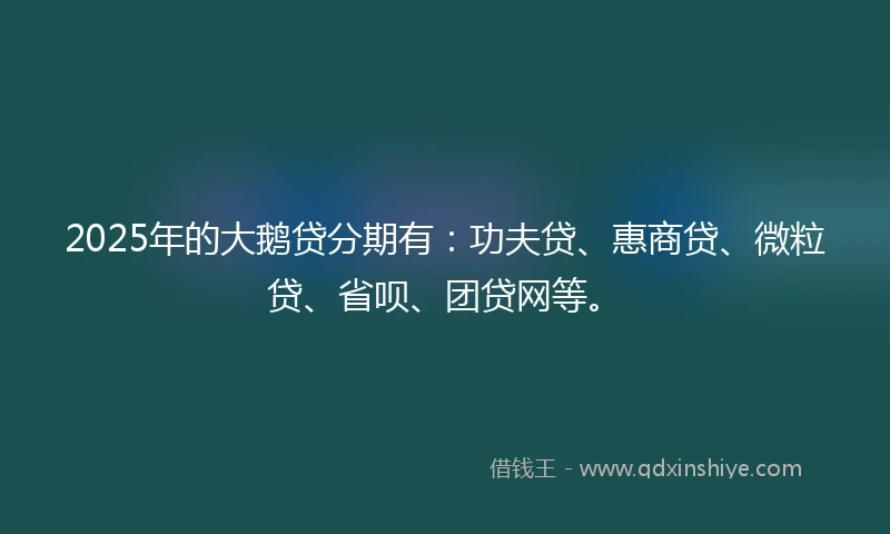 2025年的大鹅贷分期有：功夫贷、惠商贷、微粒贷、省呗、团贷网等。