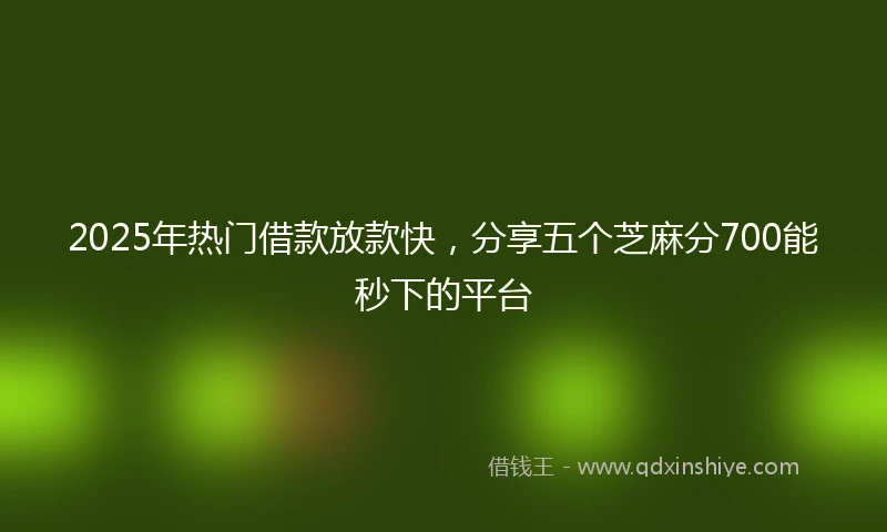 2025年热门借款放款快，分享五个芝麻分700能秒下的平台