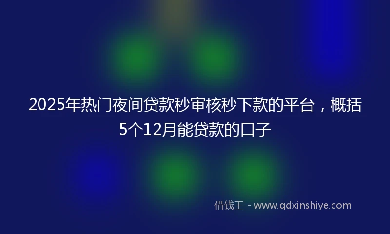 2025年热门夜间贷款秒审核秒下款的平台，概括5个12月能贷款的口子