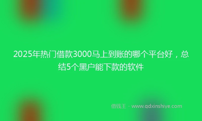 2025年热门借款3000马上到账的哪个平台好，总结5个黑户能下款的软件