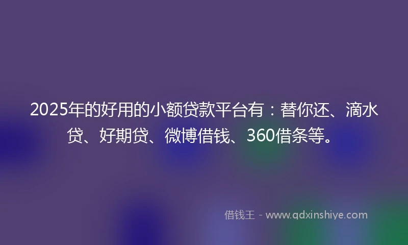 2025年的好用的小额贷款平台有：替你还、滴水贷、好期贷、微博借钱、360借条等。