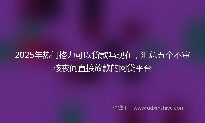 2025年热门格力可以贷款吗现在，汇总五个不审核夜间直接放款的网贷平台