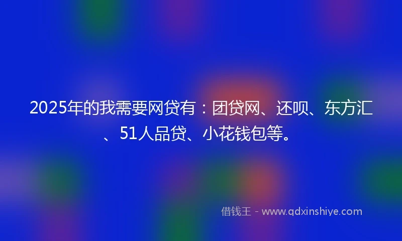 2025年的我需要网贷有：团贷网、还呗、东方汇、51人品贷、小花钱包等。