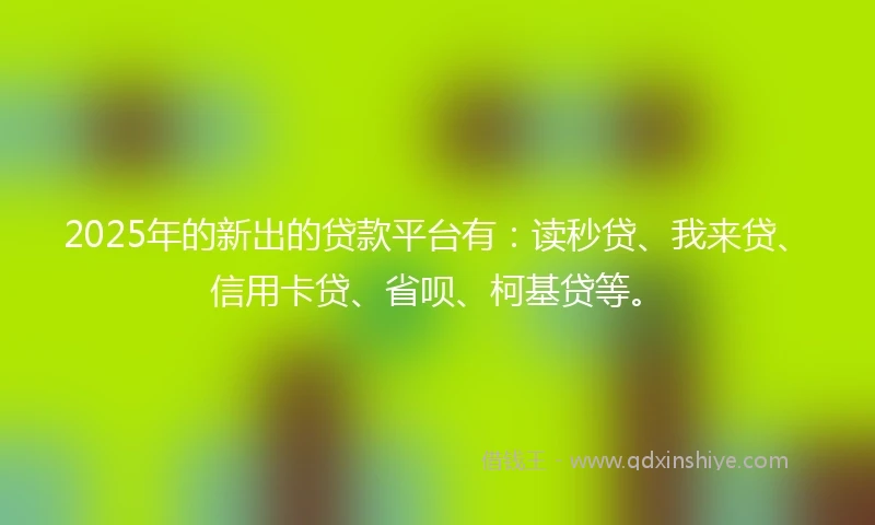 2025年的新出的贷款平台有：读秒贷、我来贷、信用卡贷、省呗、柯基贷等。