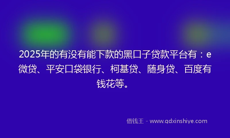 2025年的有没有能下款的黑口子贷款平台有：e微贷、平安口袋银行、柯基贷、随身贷、百度有钱花等。